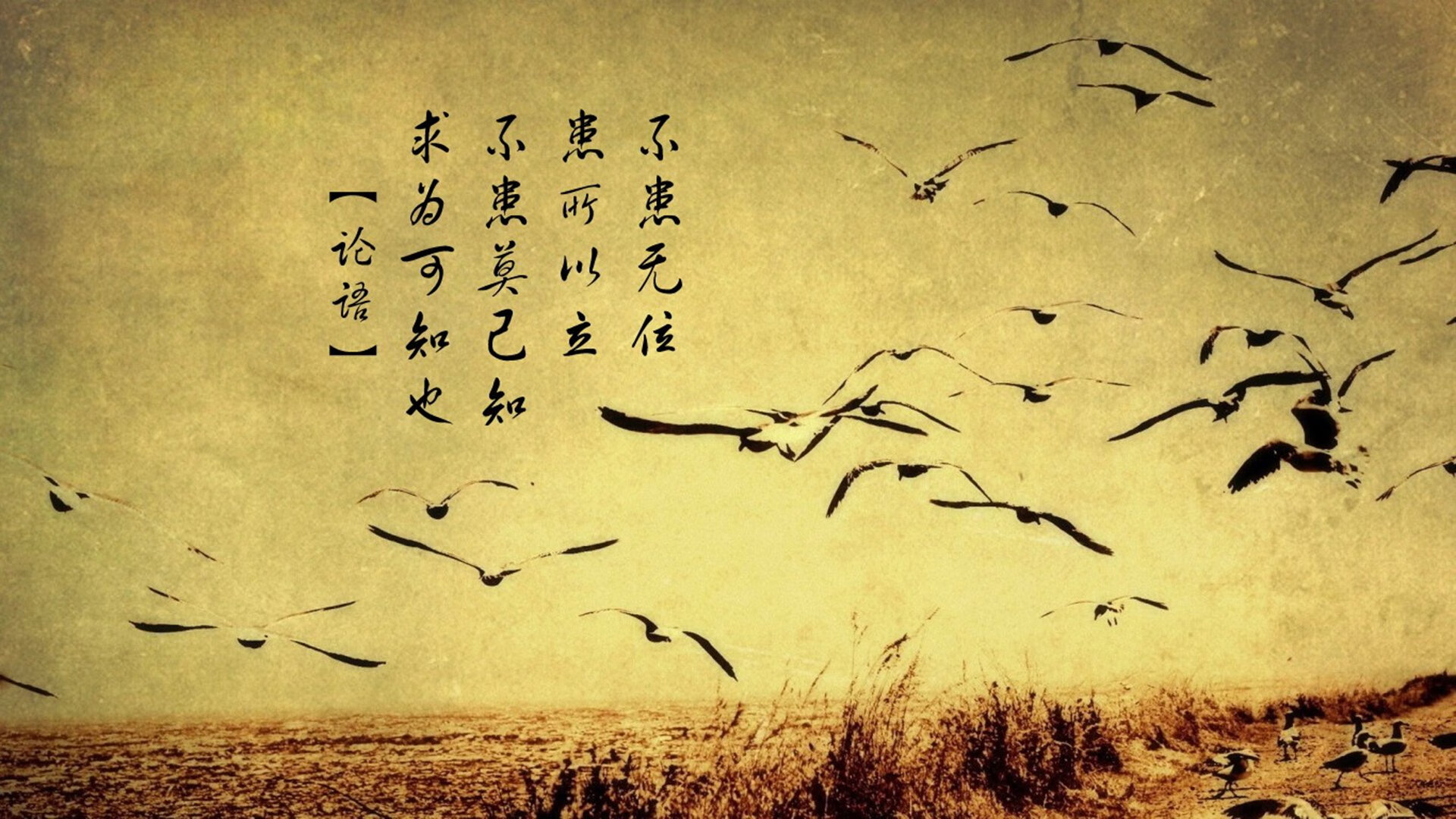 中国女篮赛后总结经验 持续提升,中国女篮战况如何