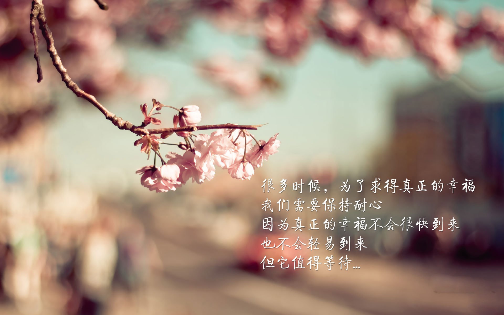 中国香港队团体赛制解析:如何通过团队合作提升战斗力,香港团体rs