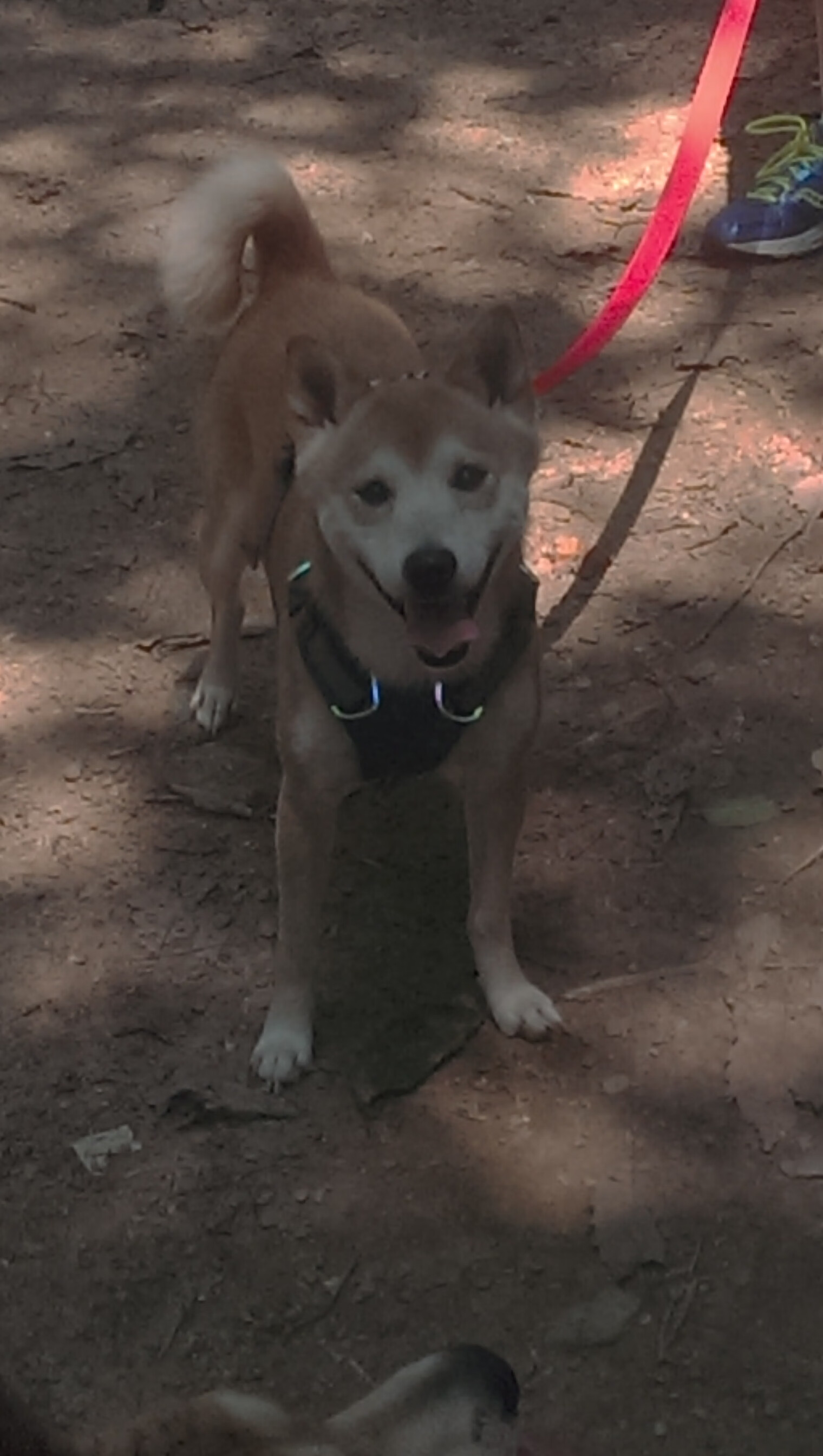 乐鱼体育网址-乒乓球赛事：全球顶级选手齐聚一堂，战况激烈，世界乒乓球大师赛