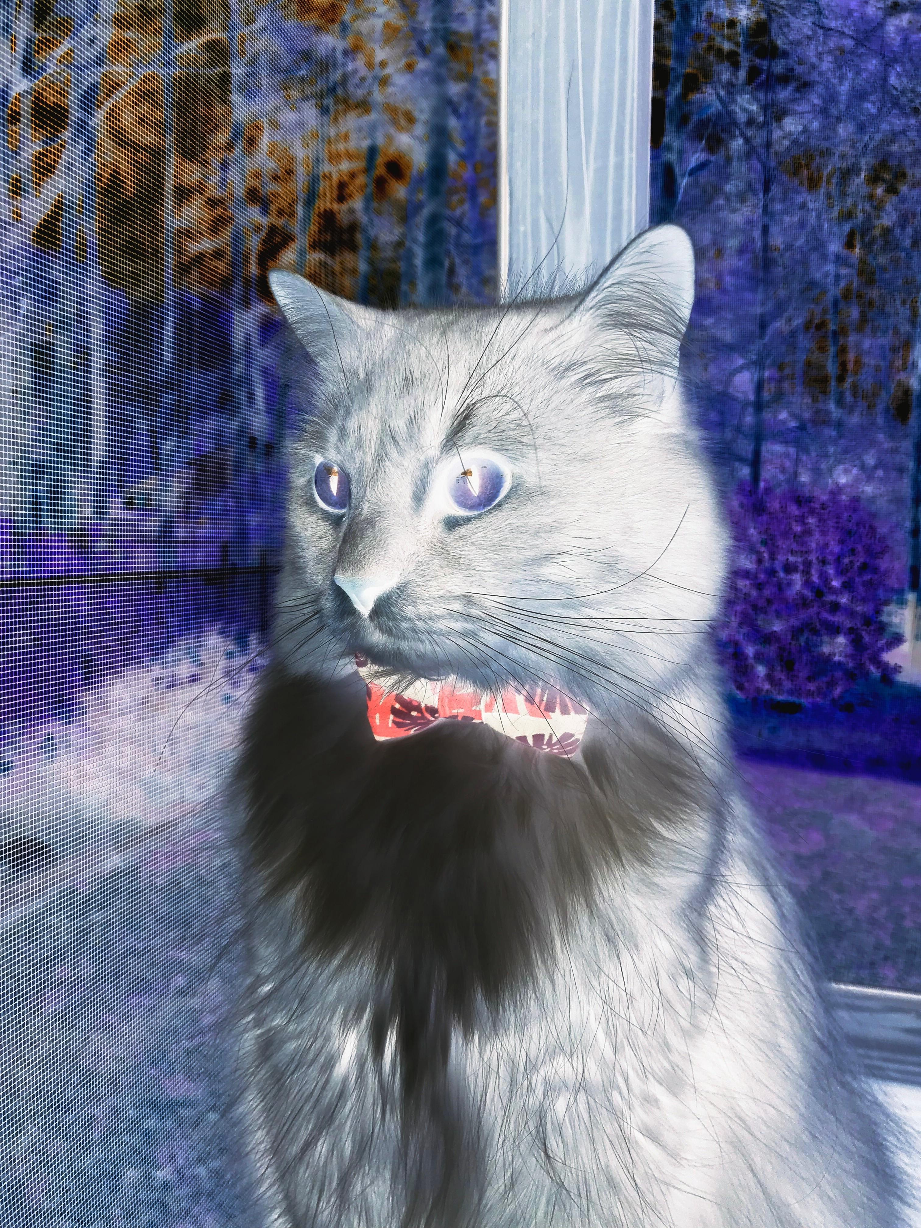 乐鱼体育官网下载-体育文化纪录片展播季覆盖全国多地校园，体育纪录片名字