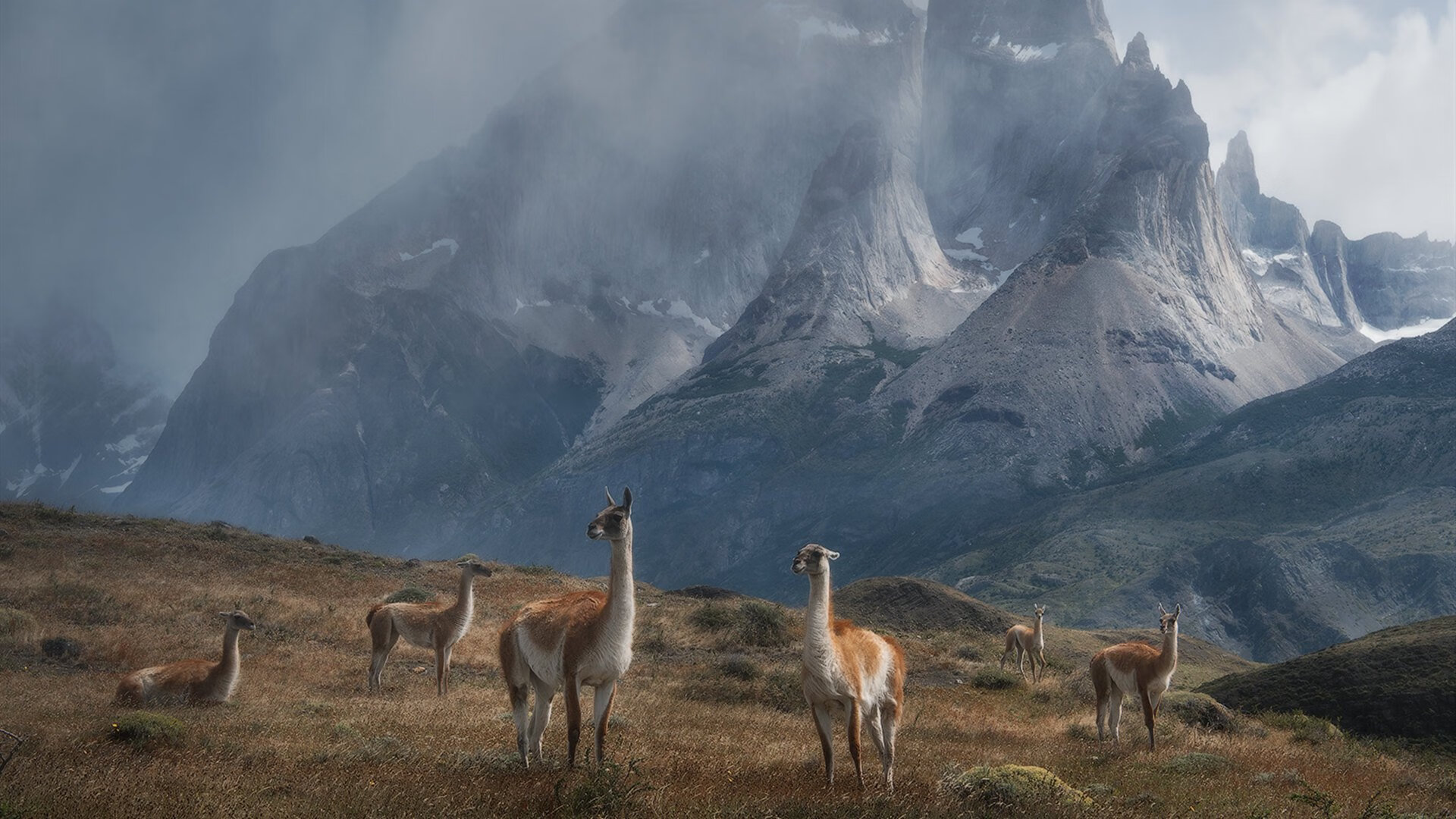 乐鱼体育app官网-体育新闻中心承办全国体育传媒年会，中国体育科学学会体育新闻传播分会