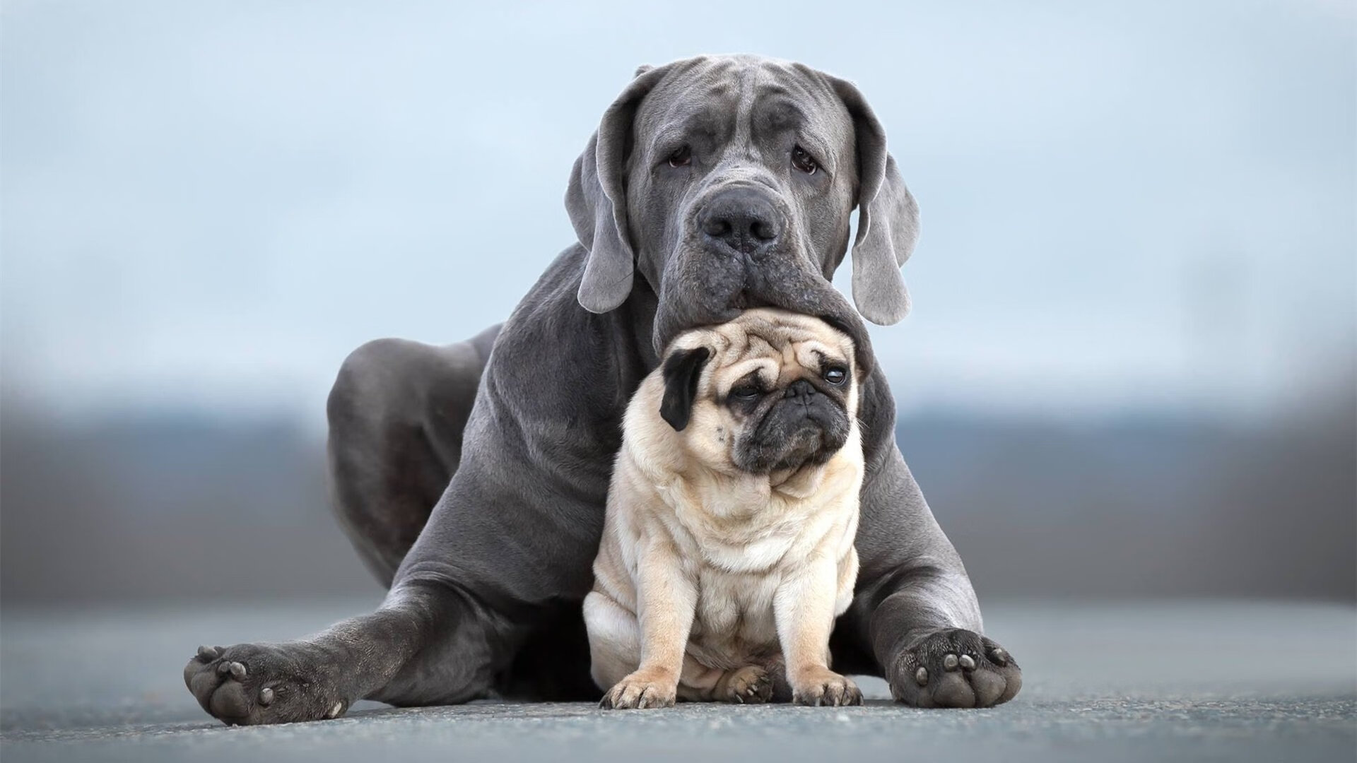 乐鱼体育app入口-国际乒联混合团体世界杯：德国队如何布局未来十年发展，2021德国乒乓球队
