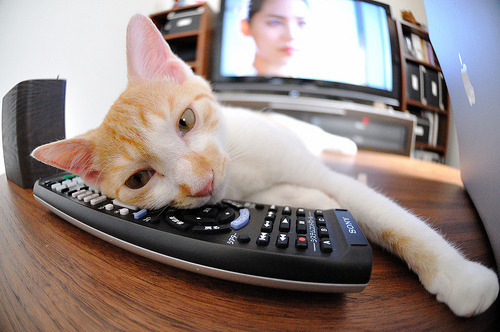 女子混合泳接力传递默契满分，女子混合泳决赛