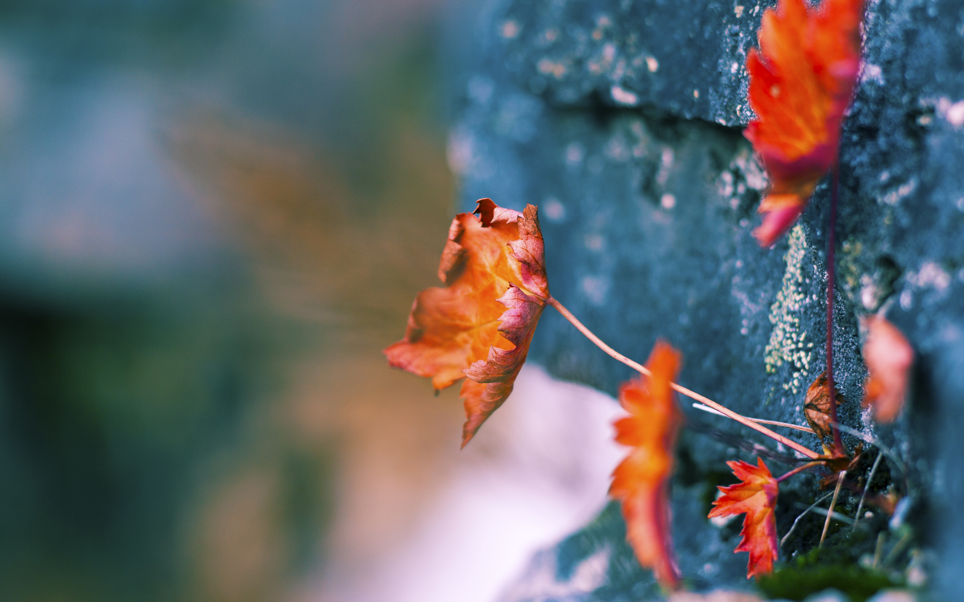 乐鱼体育网页登录-教练换帅引发战术体系调整，换教练正常吗