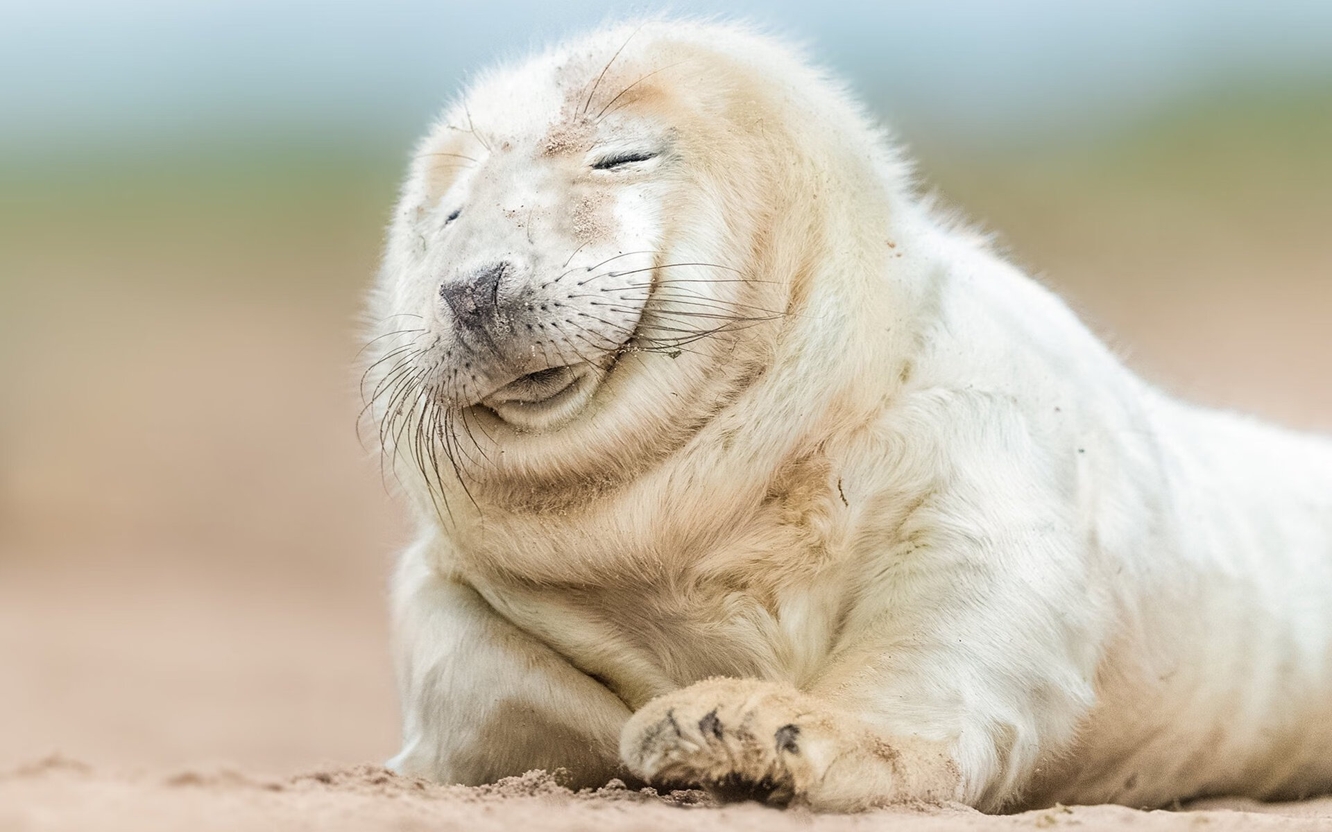 电竞城市巡回赛火爆多地选拔新星，电竞赛程