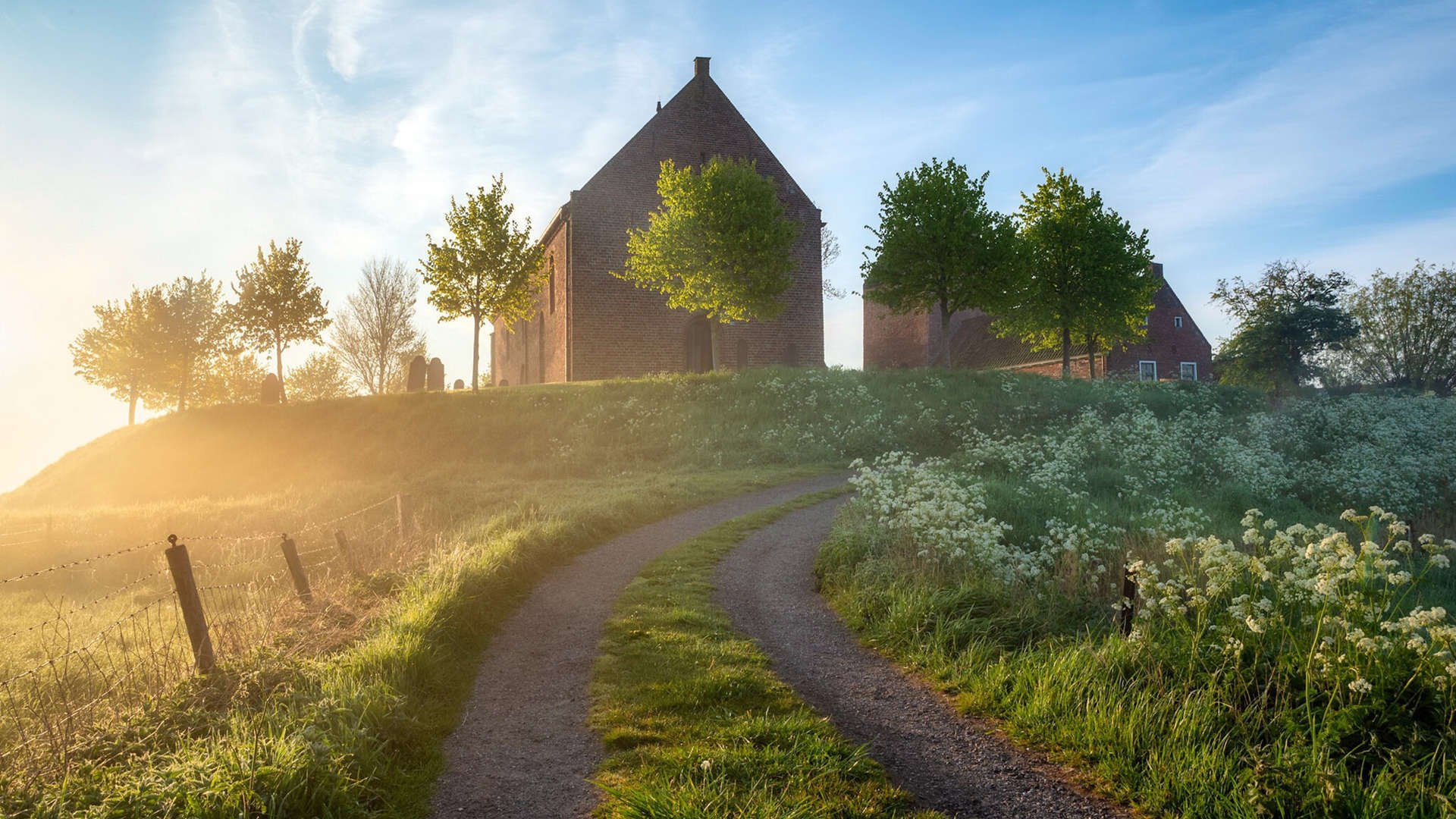 罗马尼亚队赛制解析:从个人能力到团队协作的完美融合,罗马尼亚联赛赛程