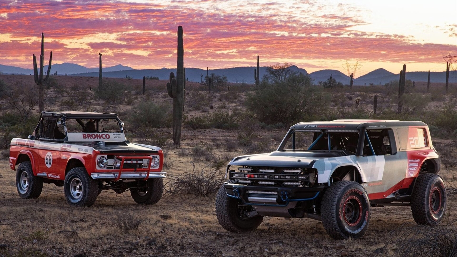 乐鱼体育官网下载-自由搏击训练营注重综合素质培养，自由搏击训练营注重综合素质培养吗