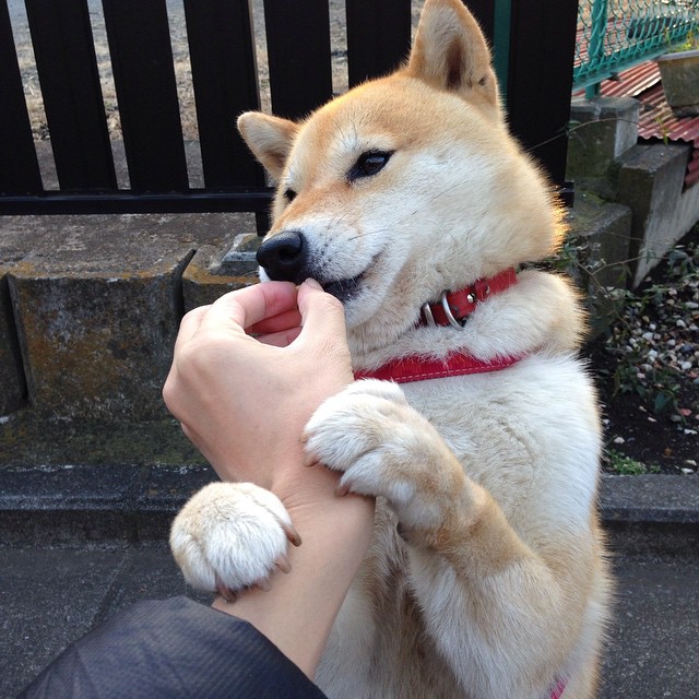 乐鱼体育在线登录-防守轮转中最容易出现的问题汇总，1211全场防守怎么轮转