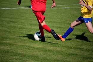 乐鱼体育官网注册-中小学篮球教研活动不断创新教学方法提升训练效果，篮球教研活动总结