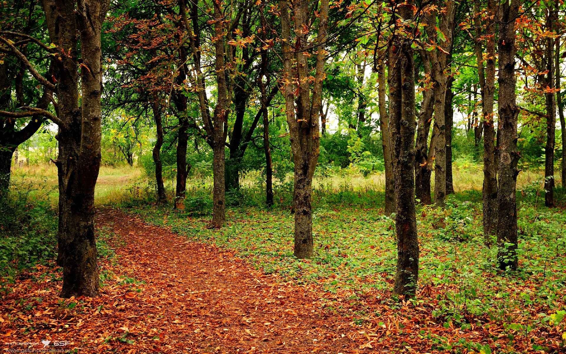 中超门将使用专业设备分析扑救路径提升防守表现，中超各队门将名单