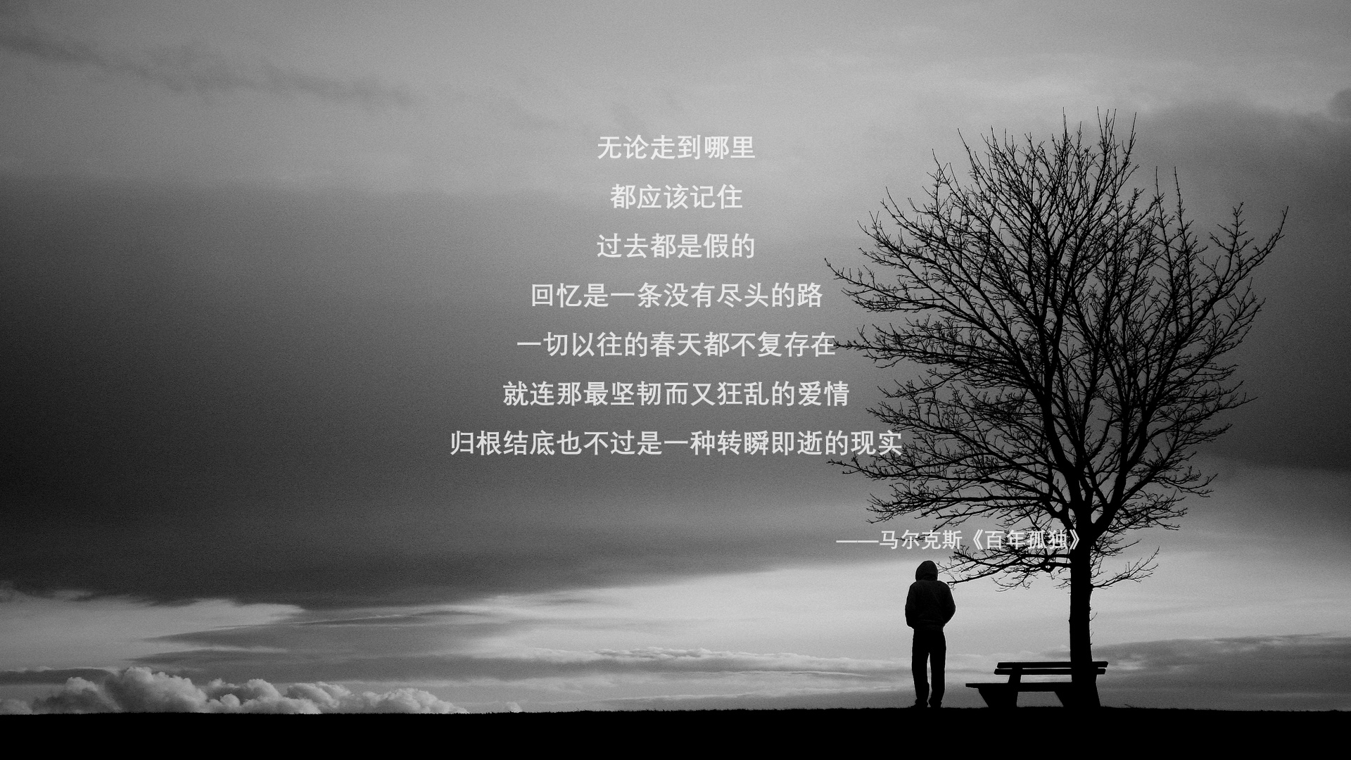 全黑队的攻防速度与转化为其赢得橄榄球比赛奠定基础，全黑队服